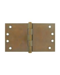 Extruded Projection Hinge 4" x 7"